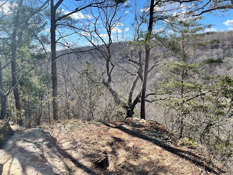 Cane Creek Canyon Nature Preserve surrounding landscape
