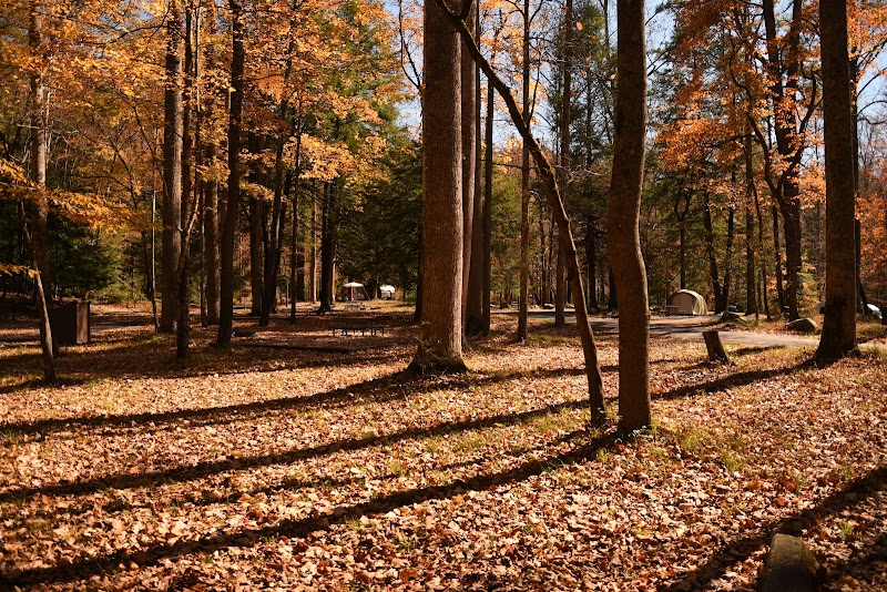 Elkmont Campground in Knoxville - Knoxville
