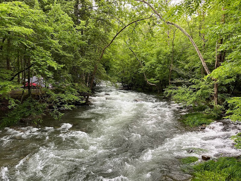 Elkmont Campground in Knoxville - Knoxville