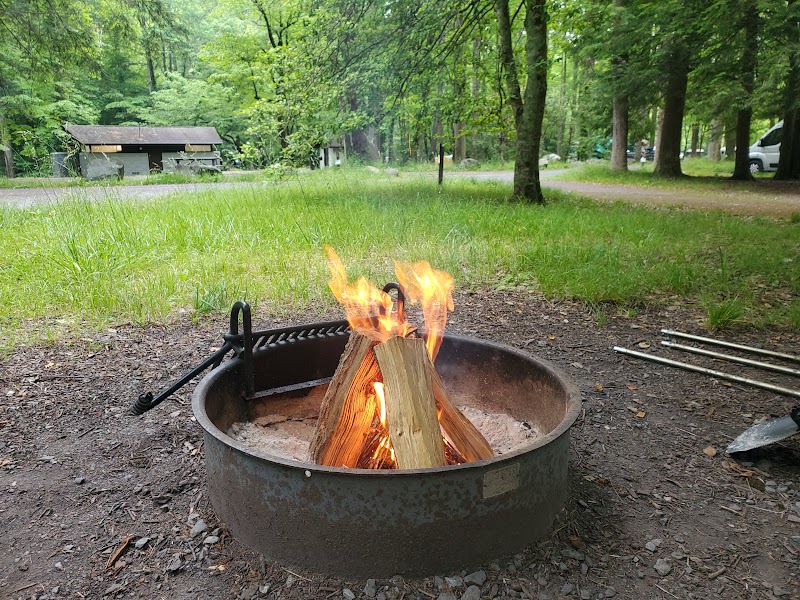 Elkmont Campground in Knoxville - Knoxville