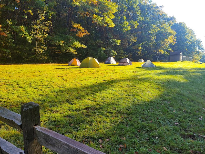 Pittsfield State Forest Campground: A Gateway to Nature in The Berkshires - The Berkshires