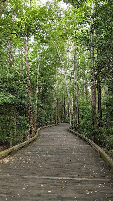 Mountain Biking at Brunswick Forest - Wilmington