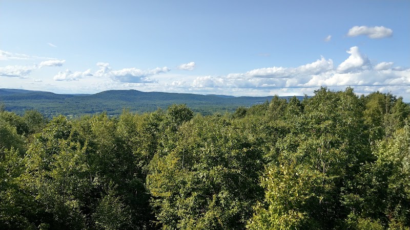 Hiking the Ice Glen Trail in The Berkshires outdoor detail