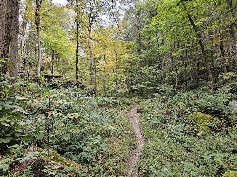 Hiking the Ice Glen Trail in The Berkshires - Ice Glen Trail