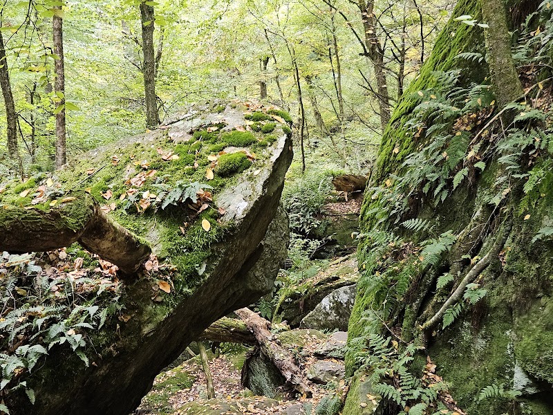 Hiking the Ice Glen Trail in The Berkshires - Ice Glen Trail