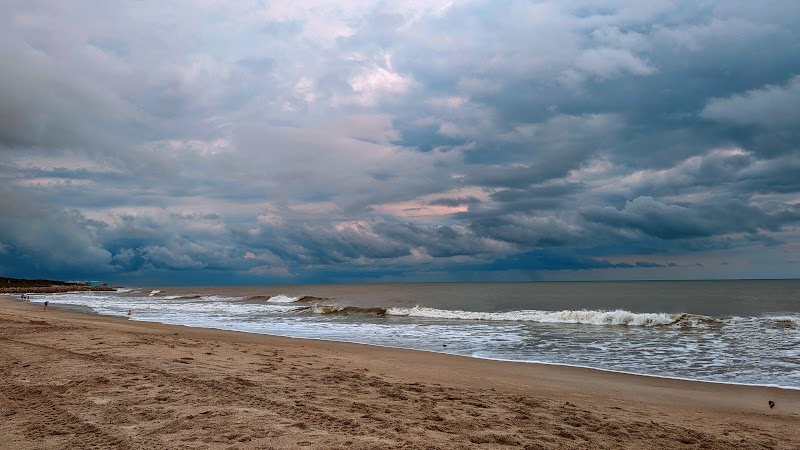 Explore the Basin Trail at Fort Fisher, Wilmington, NC - Wilmington