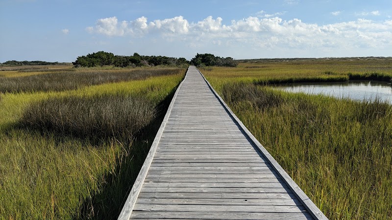 Explore the Basin Trail at Fort Fisher, Wilmington, NC - Wilmington