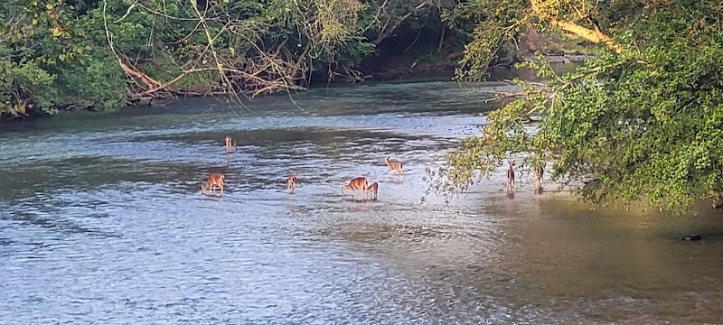 A Cyclist's Guide to the Catawba River Greenway Near Charlotte - Charlotte