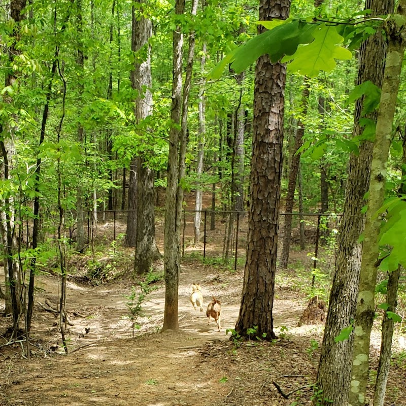 Anne Springs Close Greenway: Outdoor Adventure and Nature Immersion Guide - Charlotte