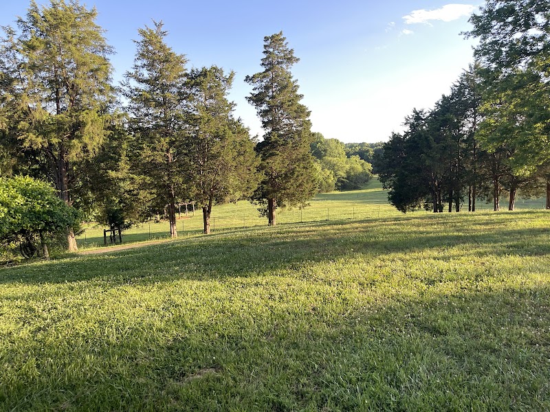 Anne Springs Close Greenway: Outdoor Adventure and Nature Immersion Guide - Charlotte