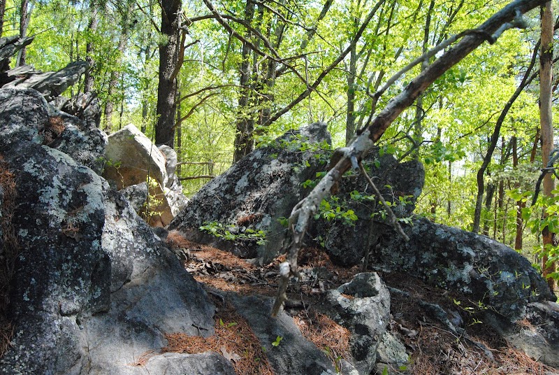 Hiking Big Rock Trail at Crowders Mountain - Charlotte