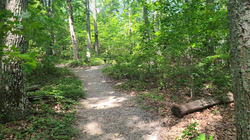 Hiking Big Rock Trail at Crowders Mountain - Charlotte