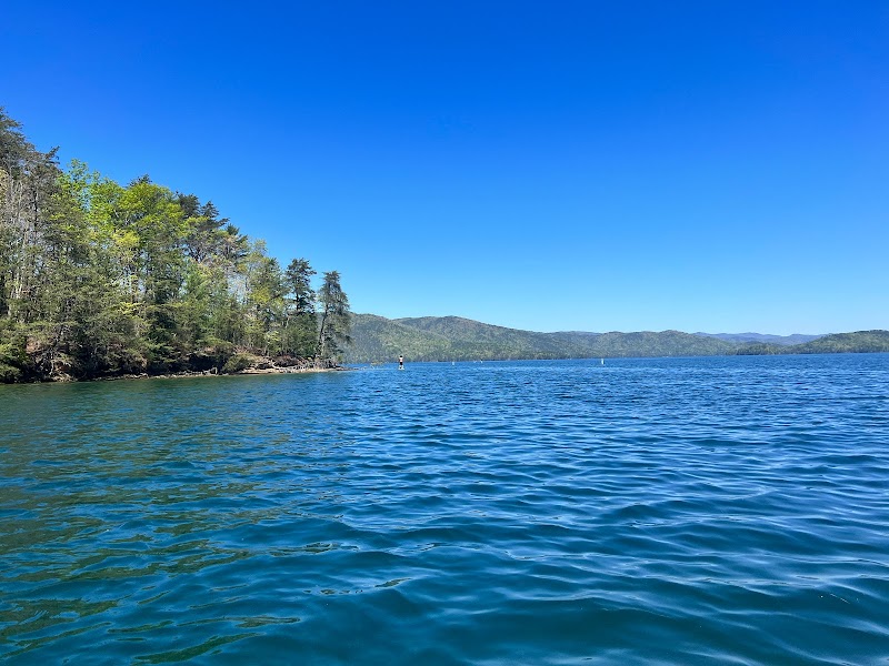 Jump Into the Beauty of Devil's Fork State Park outdoor detail