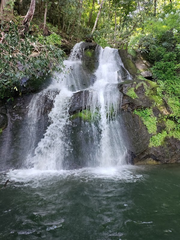Jump Into the Beauty of Devil's Fork State Park - Devils Fork State Park Villa Dock