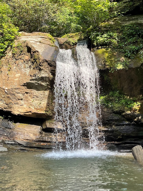 Jump Into the Beauty of Devil's Fork State Park surrounding landscape