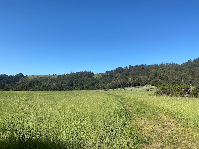 Hiking the Pogonip Creek Trail in Santa Cruz surrounding landscape
