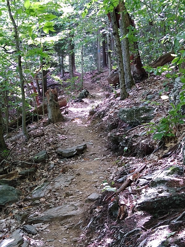 Hiking the Cobbles Trail in The Berkshires - Appalachian National Scenic Trail