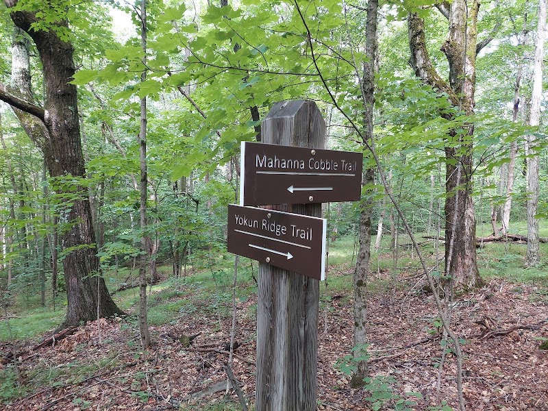 Hiking the Cobbles Trail in The Berkshires surrounding landscape