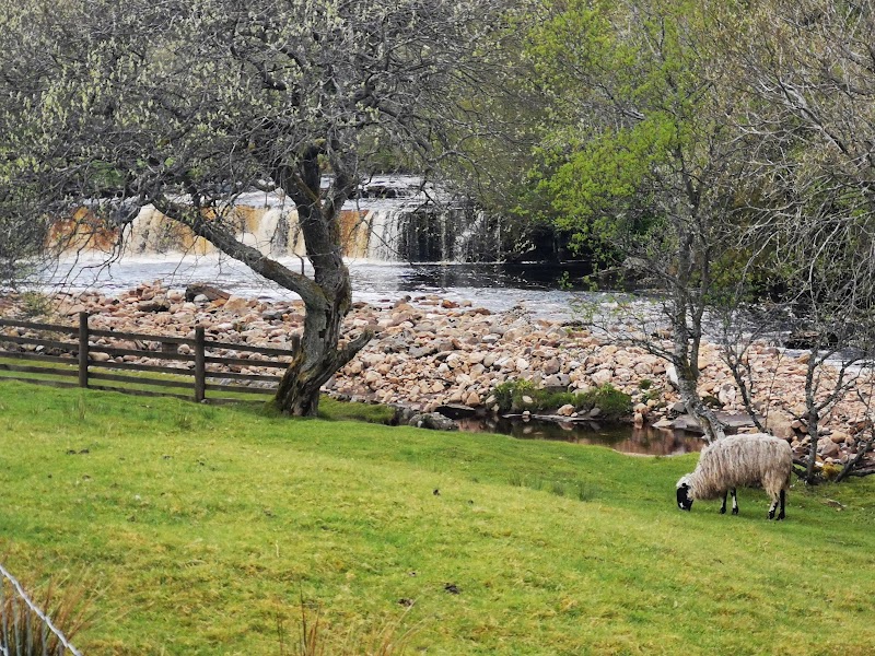 Wain Wath Force - Wain Wath Force