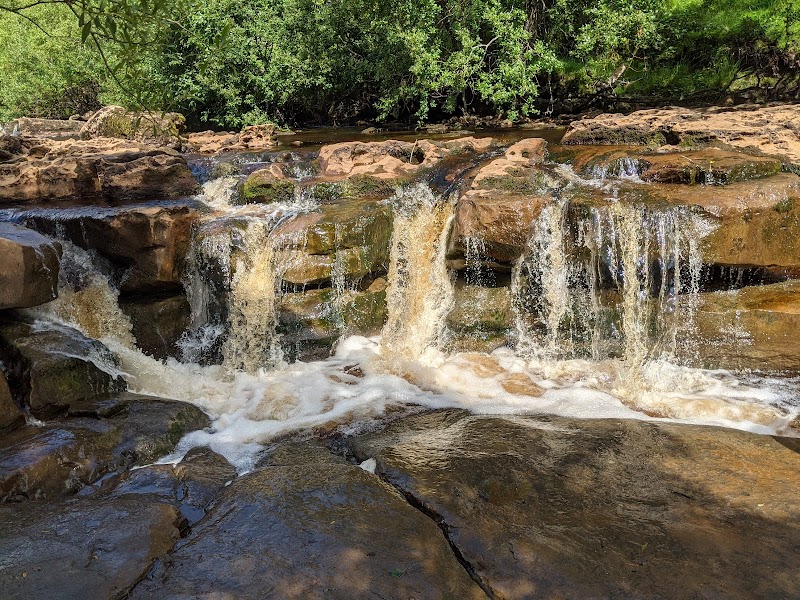Wain Wath Force - Wain Wath Force