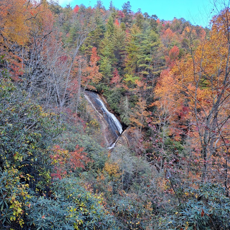 Gorges State Park - Gorges State Park