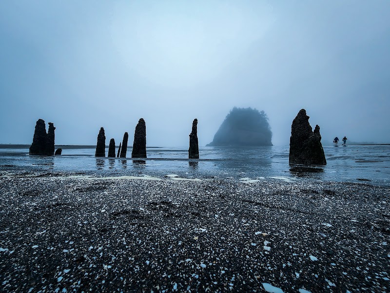 Neskowin Ghost Forest surrounding landscape