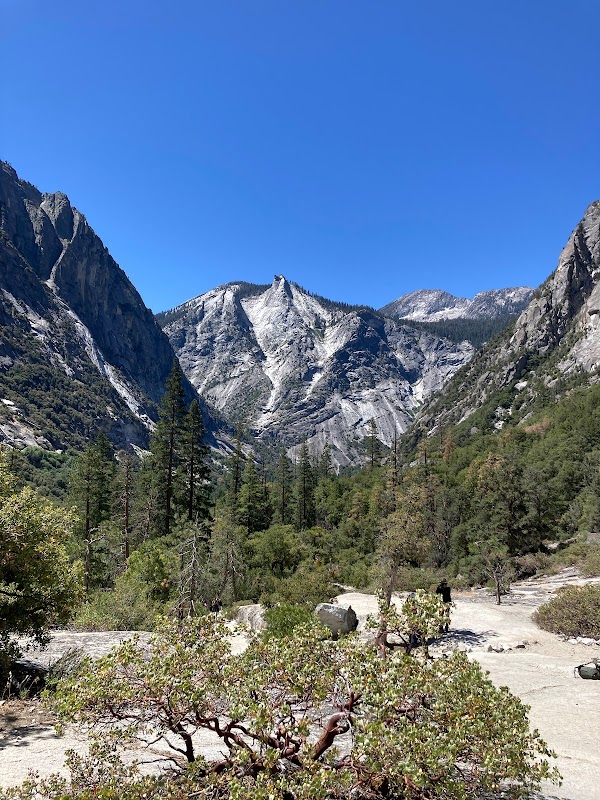 Kings Canyon National Park outdoor detail