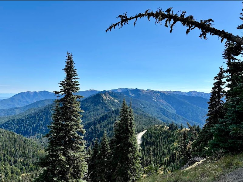 Olympic National Park outdoor detail