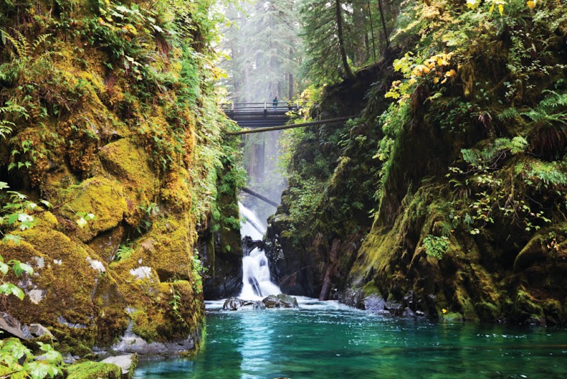 Olympic National Park surrounding landscape