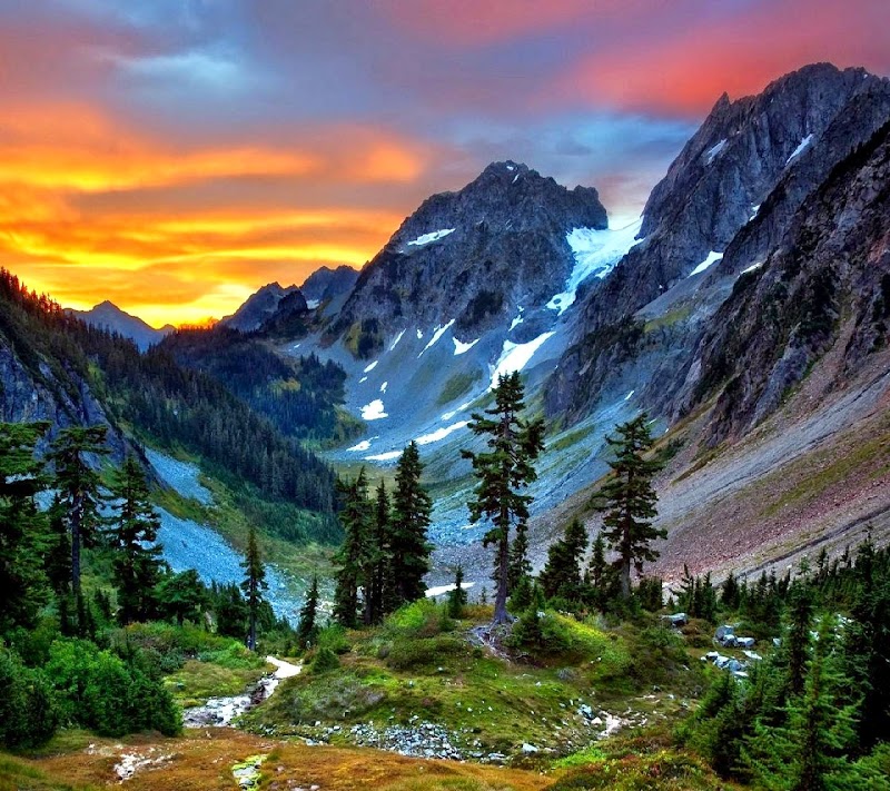 North Cascades National Park outdoor detail