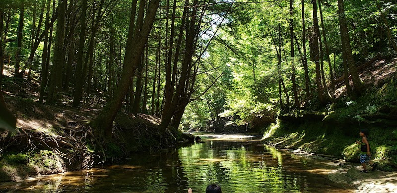 Kinlock Falls surrounding landscape