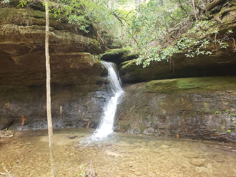 Kinlock Falls - Kinlock Falls