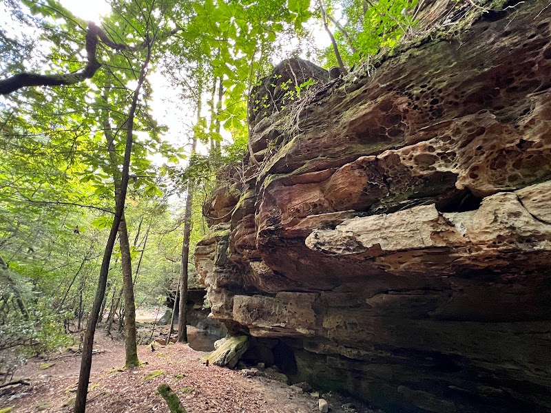 Kinlock Falls - Kinlock Falls