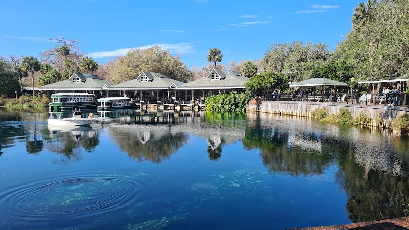 Silver Springs - Silver Springs