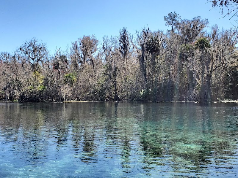 Silver Springs State Park adventures