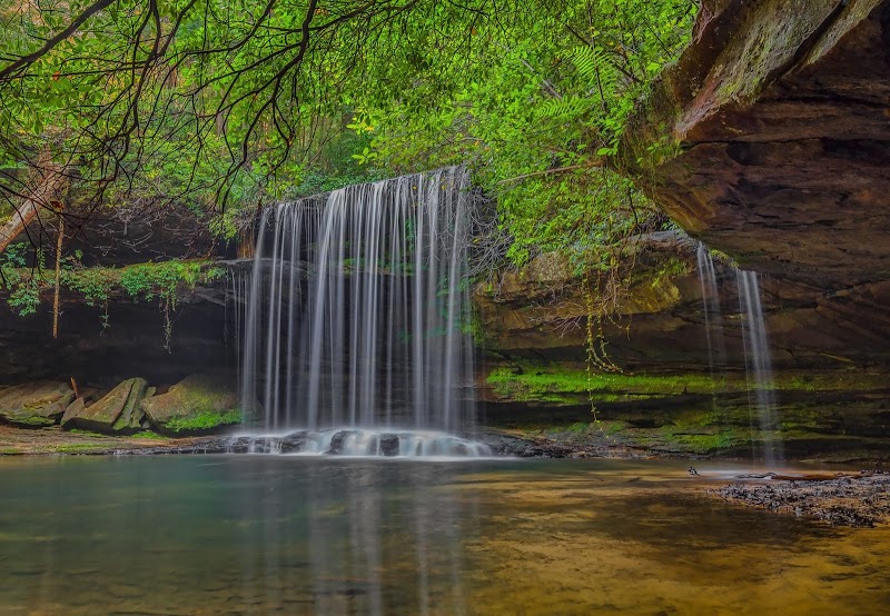 Bankhead National Forest surrounding landscape