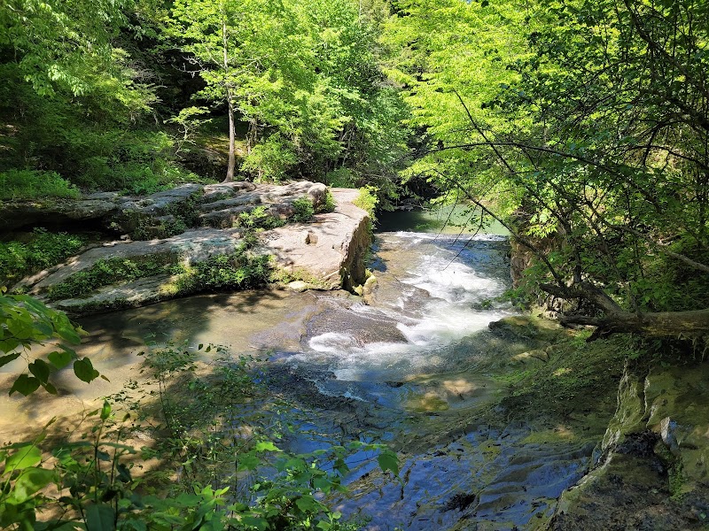 Bankhead National Forest outdoor detail