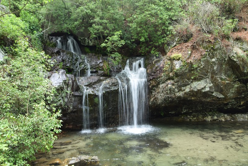 Talladega National Forest surrounding landscape