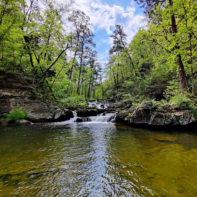 Talladega National Forest - Talladega National Forest