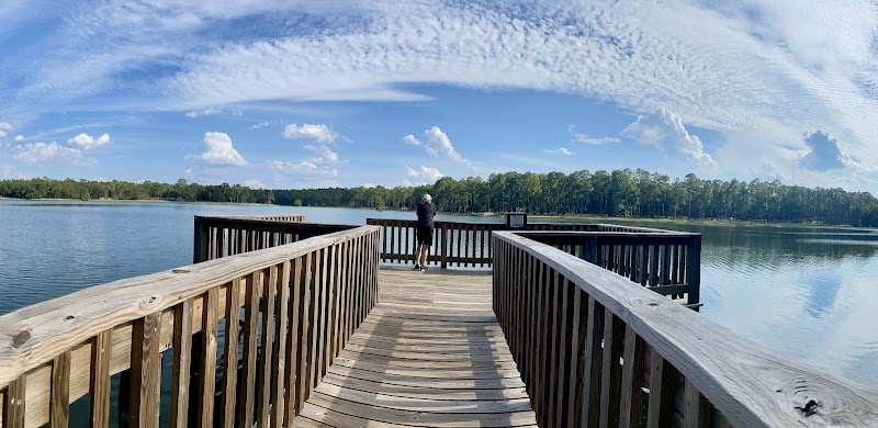Conecuh National Forest - Conecuh National Forest