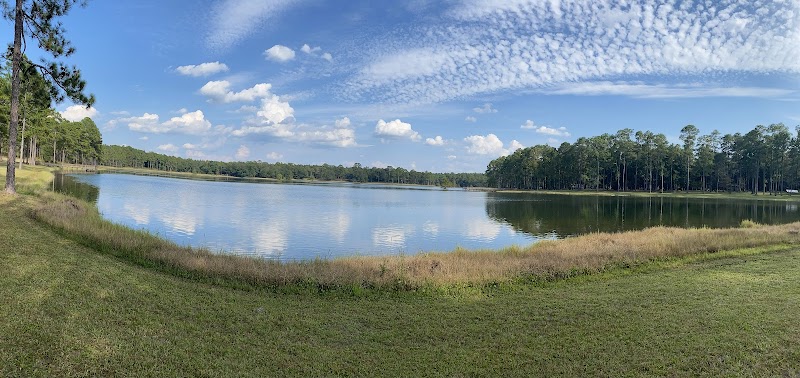 Conecuh National Forest - Conecuh National Forest
