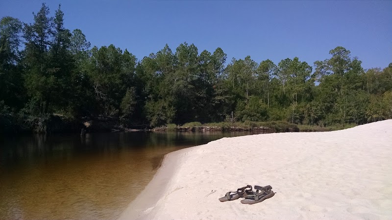 Perdido River Wildlife Management Area - Perdido River Wildlife Management Area