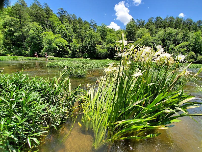 Cahaba River National Wildlife Refuge surrounding landscape