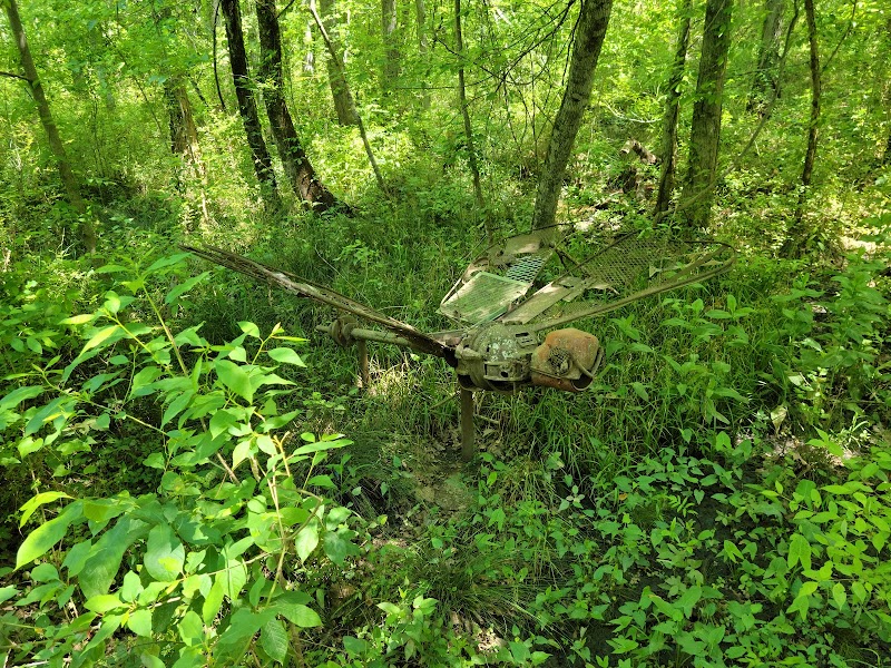 Ebenezer Swamp Ecological Preserve outdoor detail