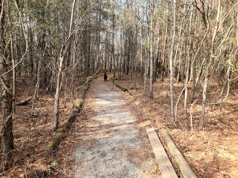 Ebenezer Swamp Ecological Preserve surrounding landscape