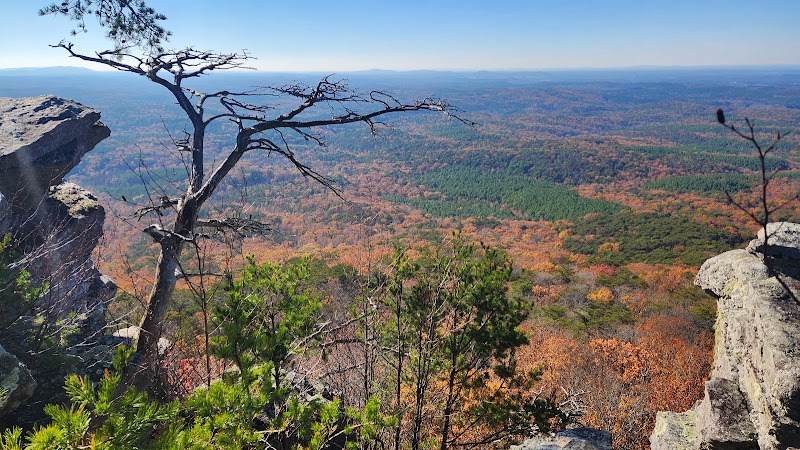 Cheaha State Park - Cheaha State Park