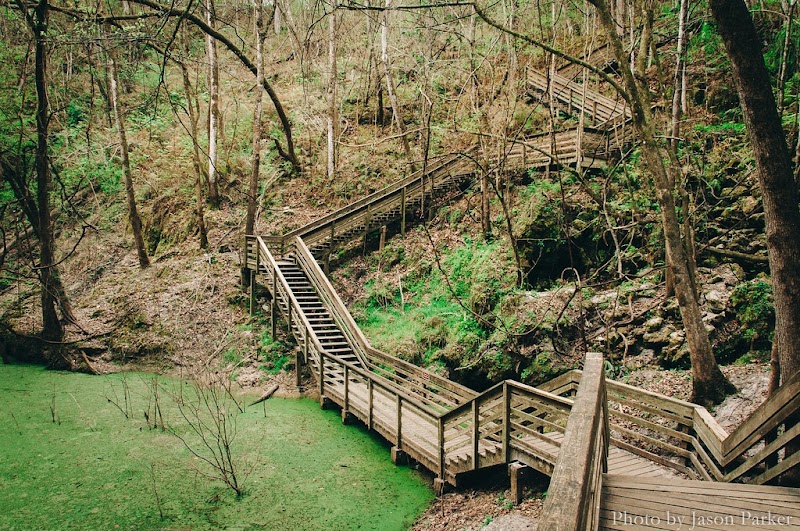Devil's Millhopper Geological State Park surrounding landscape