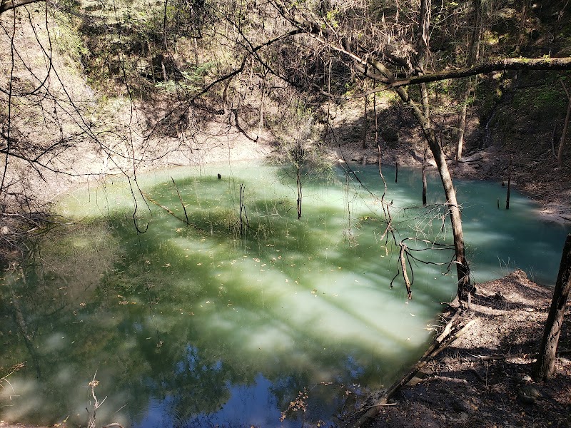 Devil's Millhopper Geological State Park - Devil's Millhopper Geological State Park
