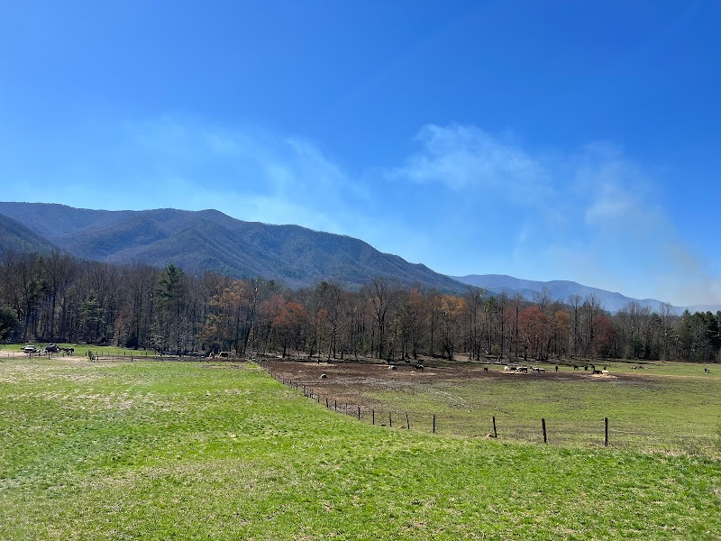 Cades Cove - Cades Cove