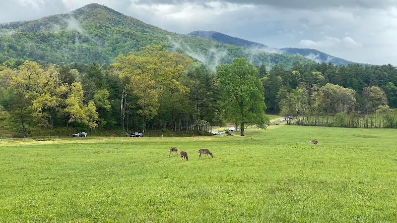Cades Cove - Cades Cove